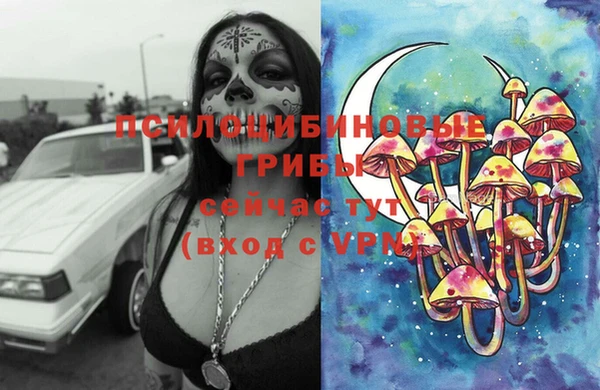 мяу мяу мука Надым