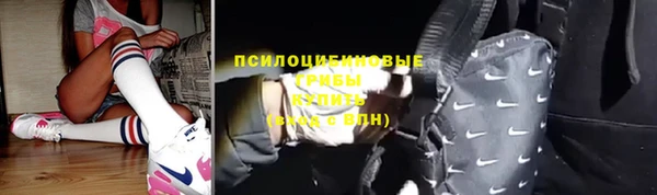 мяу мяу мука Надым