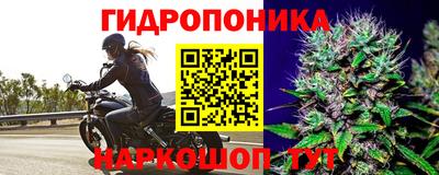 гашик Бузулук