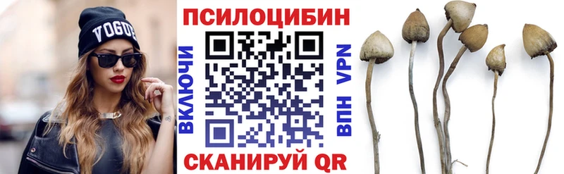 магазин  наркотиков  Клинцы  Галлюциногенные грибы ЛСД 