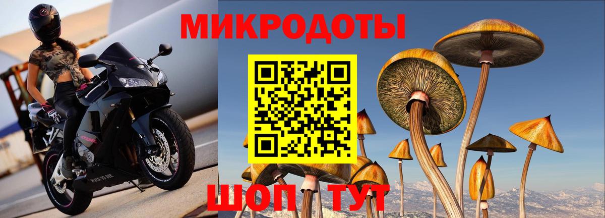 купить наркоту  Вход с VPN  Галлюциногенные грибы Psilocybe  Клинцы  Псилоцибиновые грибы прущие грибы 